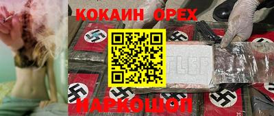 шишки Можга
