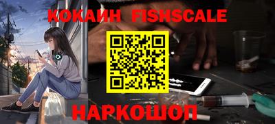 шишки Можга