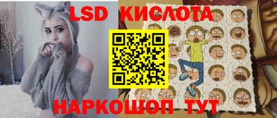 шишки Можга