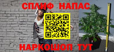 шишки Можга