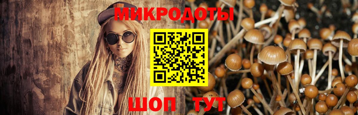 Галлюциногенные грибы прущие грибы Тара