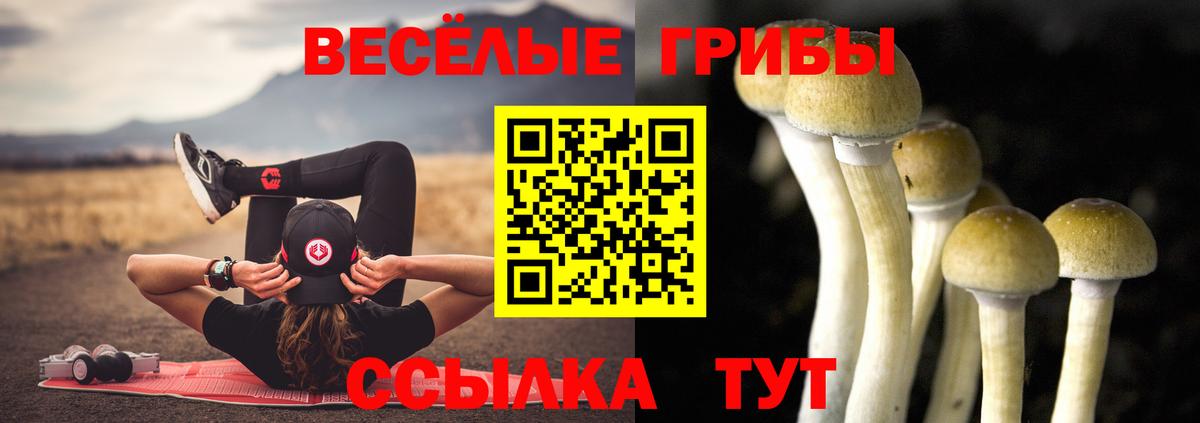 наркота  Вход с VPN  Тара  Галлюциногенные грибы MAGIC MUSHROOMS 